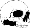 https://images.inksoft.com/images/clipart/thumb/gallery1841/SKULL_61.EPS.png
